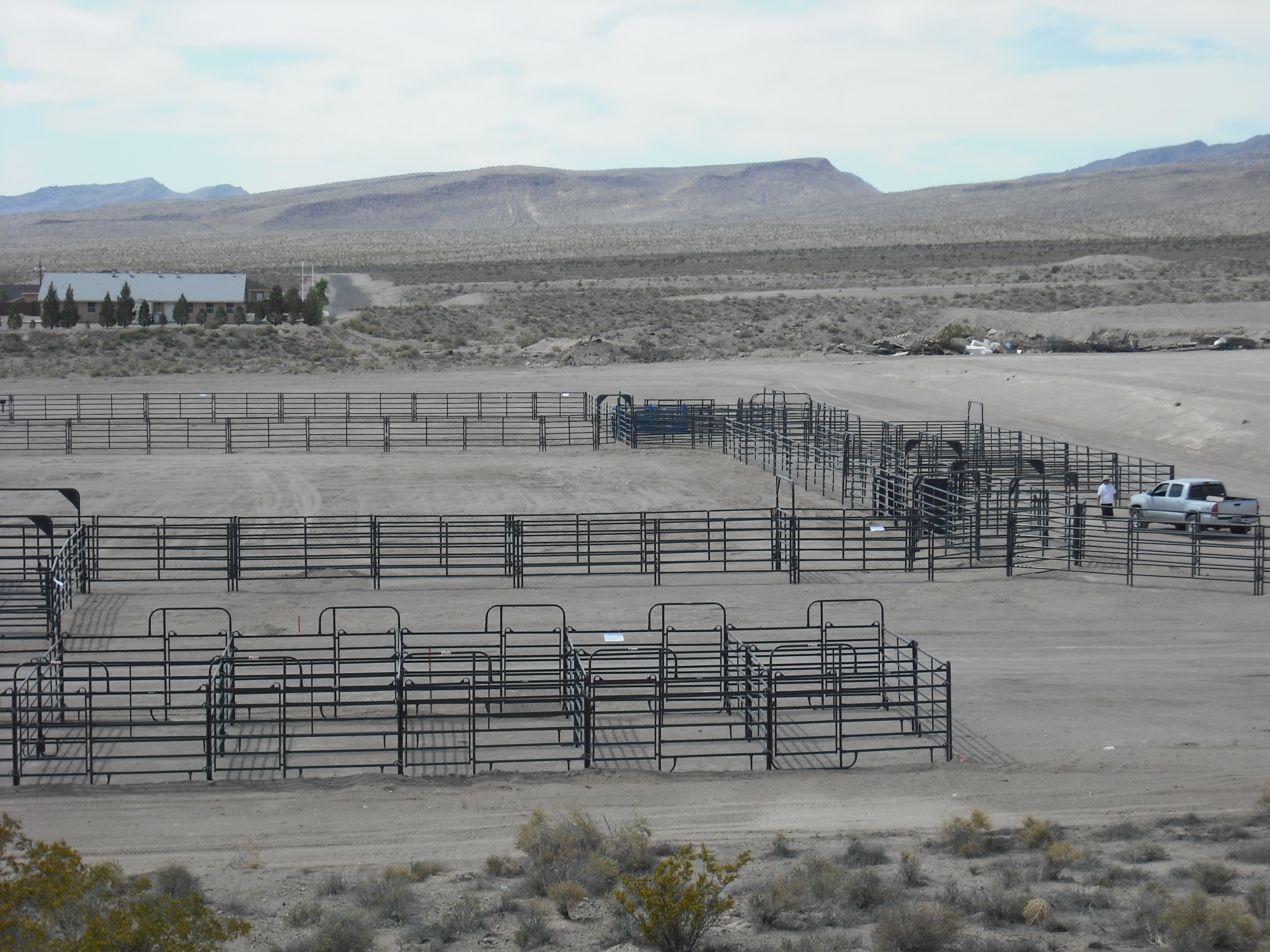 Arena Alamo NV 02.JPG